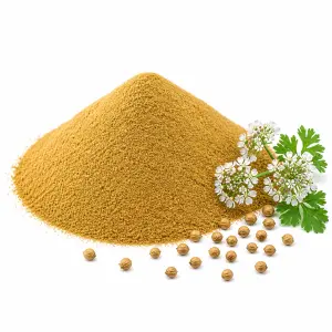 ধনিয়া গুঁড়া – Coriander Powder