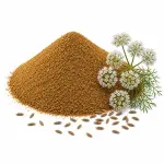 জিরা গুঁড়া – Cumin Powder